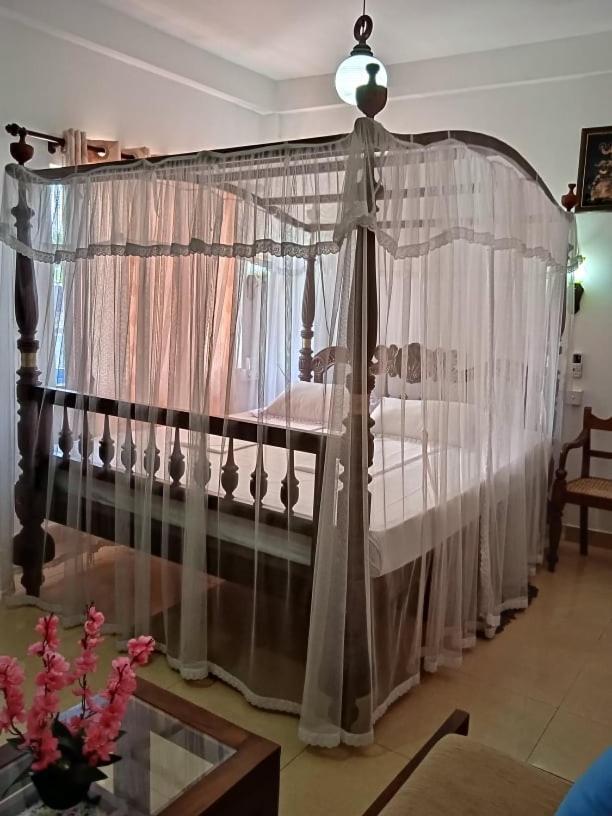 Hotel Dolphin Хикадува Екстериор снимка