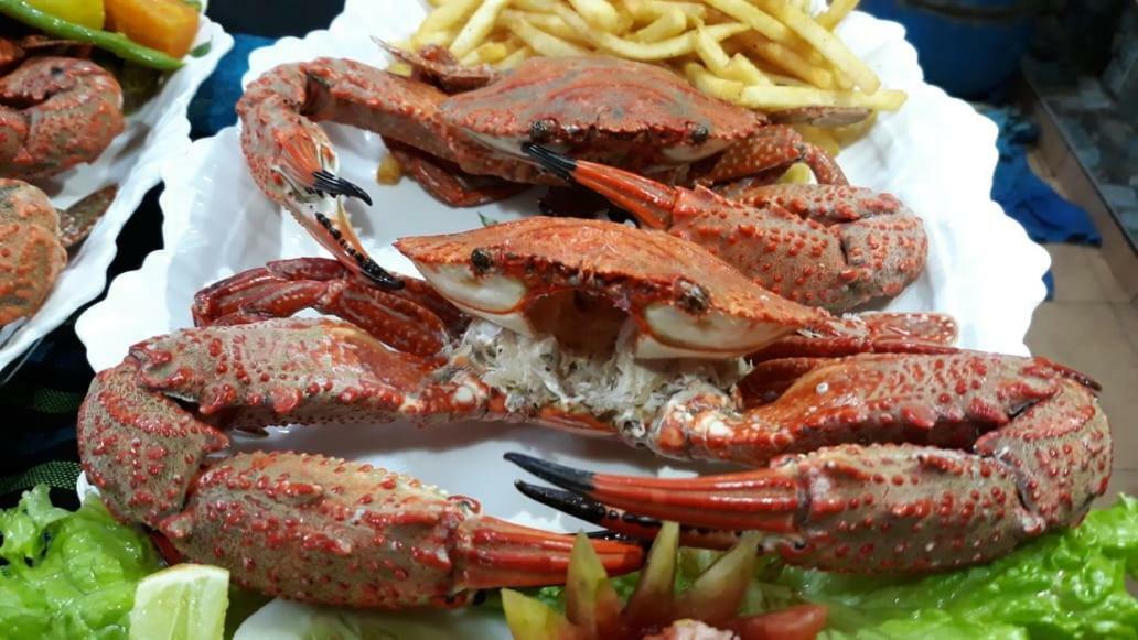 Hotel Dolphin Хикадува Екстериор снимка